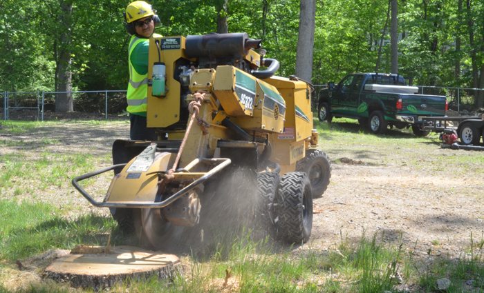 stump removal