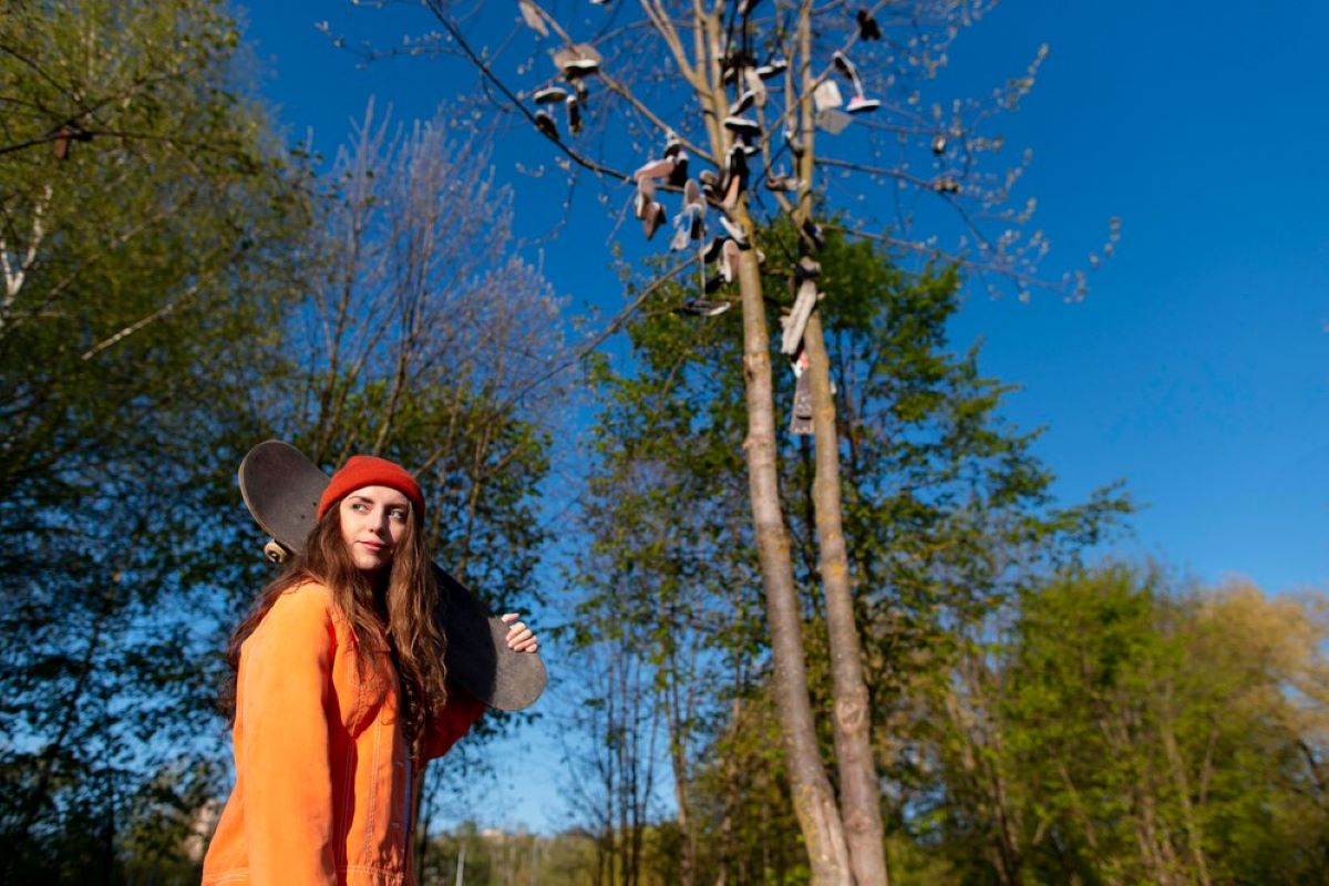 tree removal services Blue Mountains
