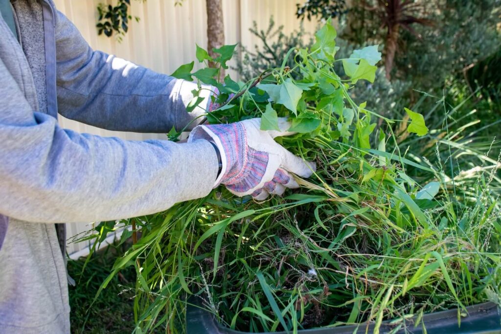 How Community Gardens Depend on Accessible Garden Waste Removal Near Me