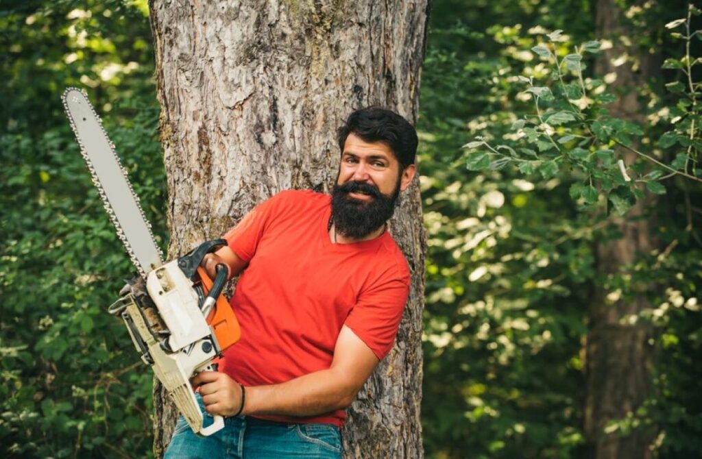 Arborist Cherrybrook