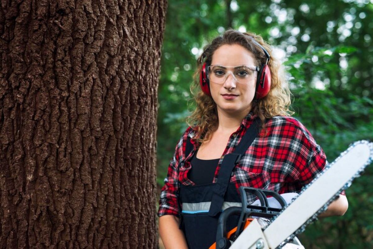 Arborist Cherrybrook